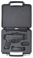 P02831
